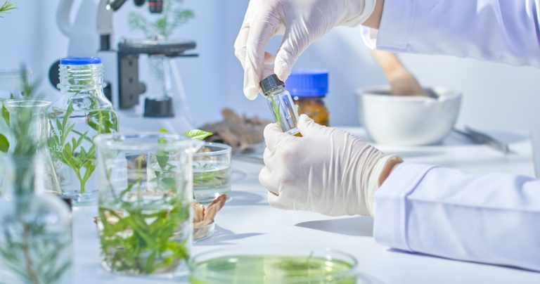 European Cosmetic Prize 2024: Nature Meets Science in Breakthrough Formulations